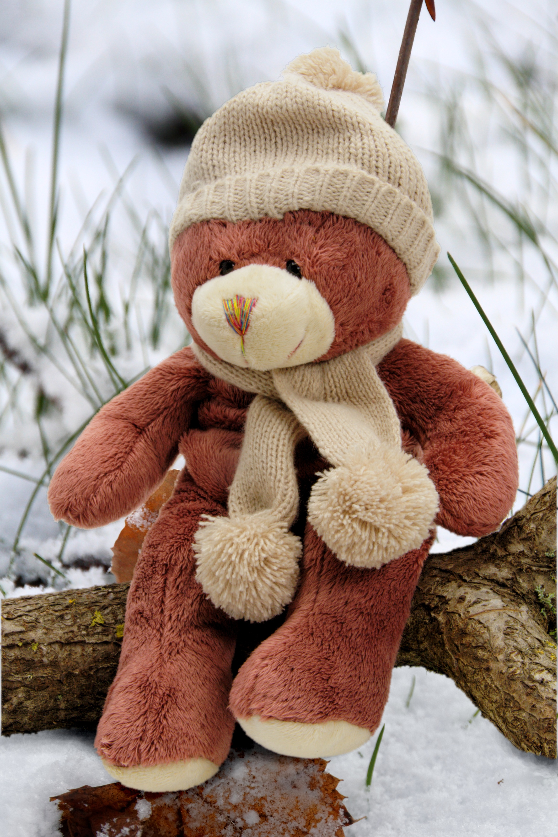 brown bear plush toy wearing beige knit cap sitting on beige tree branch during winte